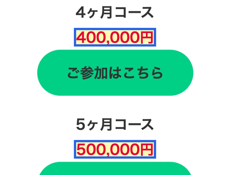 サロンの料金プラン。4ヶ月コース400,000円、5ヶ月コース500,000円と中間のコースが並ぶ案内画面