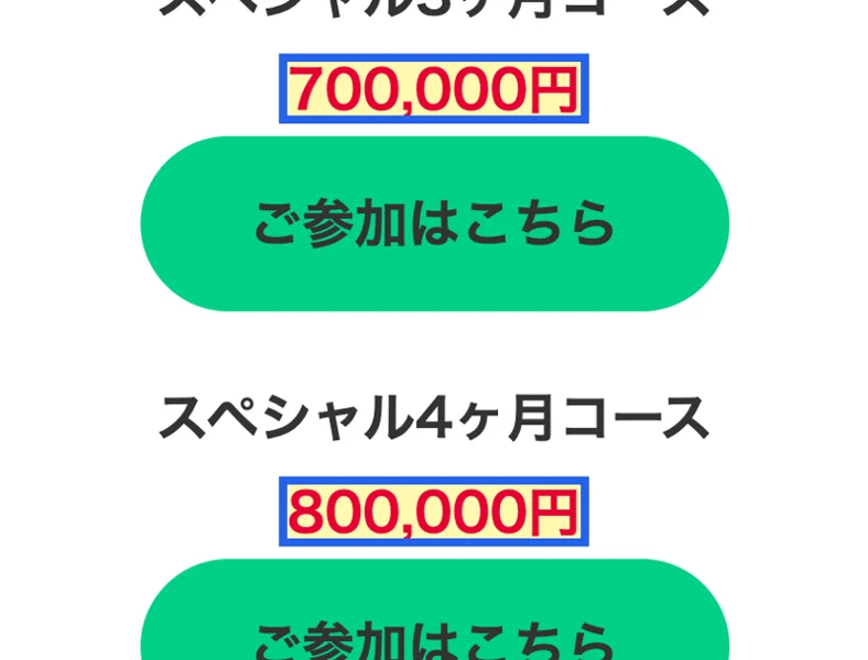 サロンの料金プラン。スペシャル3ヶ月コース700,000円、スペシャル4ヶ月コース800,000円と並んでいる画面